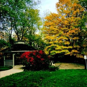 Meet your Posher, Liz